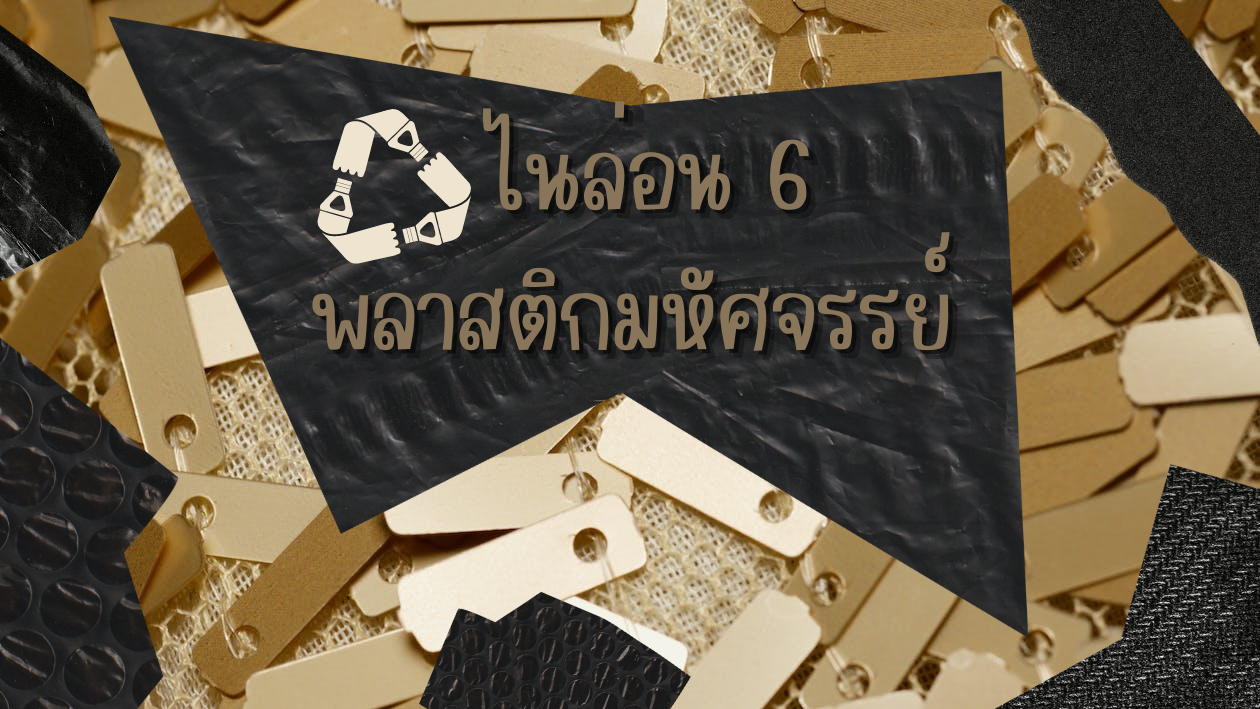 ไนล่อน 6 พลาสติกมหัศจรรย์