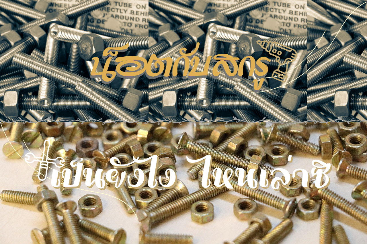 น็อตกับสกรูเป็นยังไง ไหนเล่าซิ