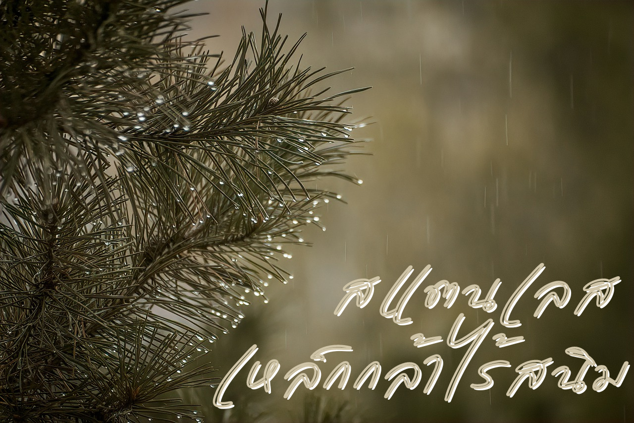 สแตนเลส เหล็กกล้าไร้สนิม